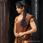 anushka shetty homely look chubby face HD images 1